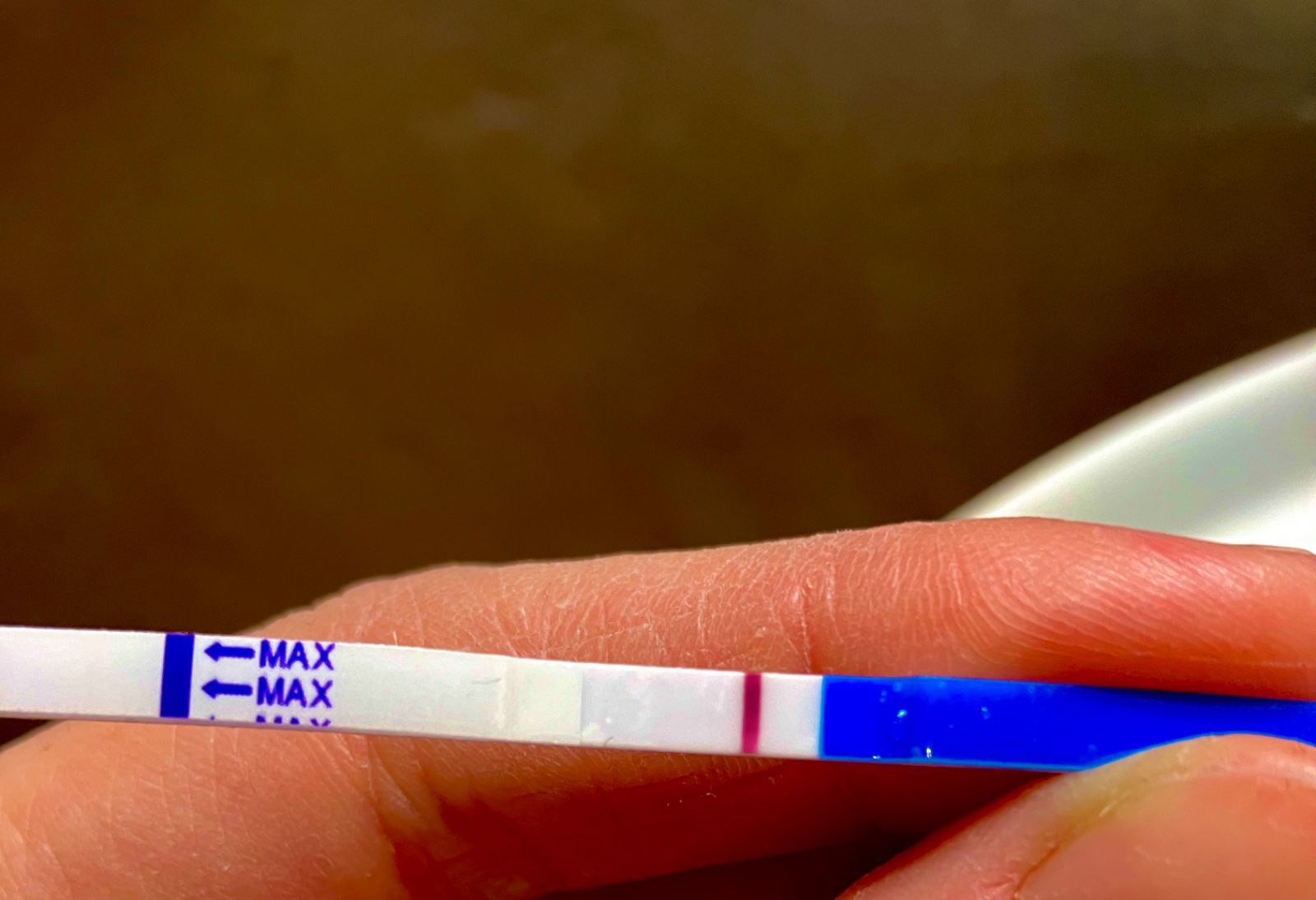 Je tam druhá čiarka? Modrý koník