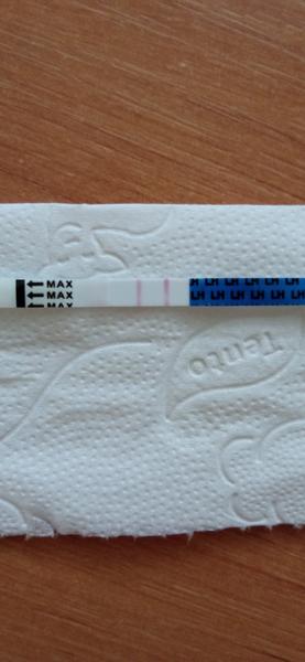 Je tento testík pozitívny?