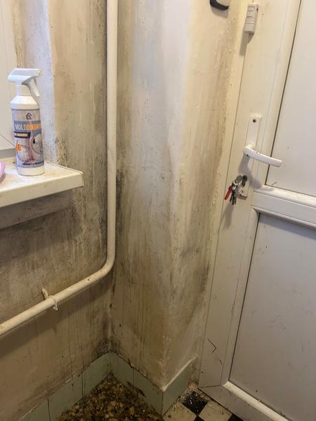 Problémy s plesňou v dome