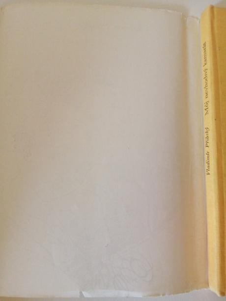 Môj nevhodný kamarát,