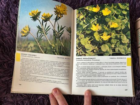 2 ks knižky o liečivých kvetoch,