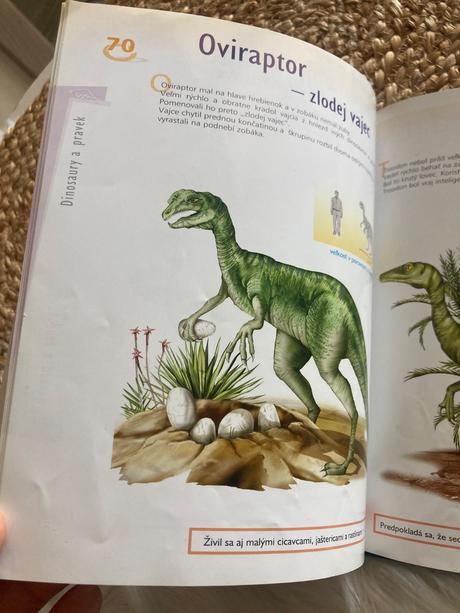 Ilustrovaná encyklopédia dinosaurov a praveku,