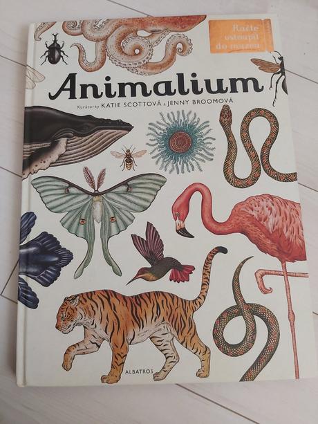 Kniha animalium  od katie scott, 