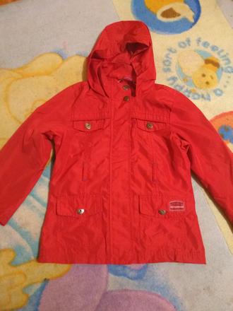 Vetrovka, palomino,116