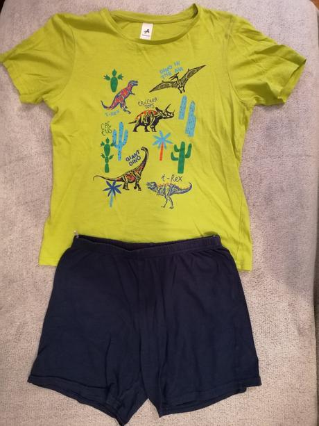 Pyzamo, palomino,140