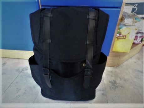 Priestranný rupsak, 