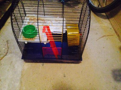 Klietka pre škrečka, 