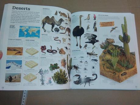 Dk picture this encyclopedia, 