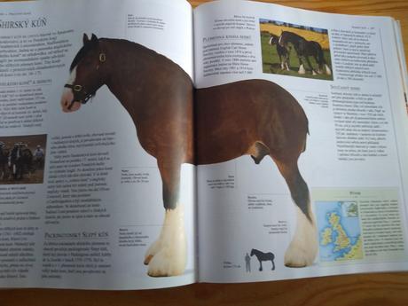 Obrazová encyklopedie koní (česky) - 20 eur,