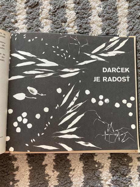 Vysoká škola dievčenskej zručnosti (1976),