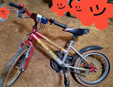 Bicykel dema, dema,16