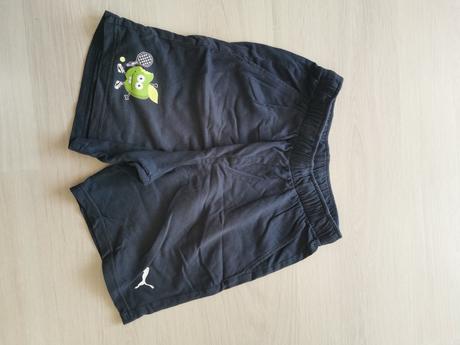 Suprava puma 152, puma,152