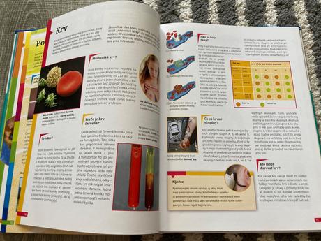 Ľudské telo (vedomosti v hrsti),