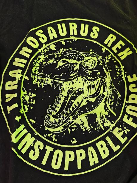 Tričko dinosaury, 158 / 164
