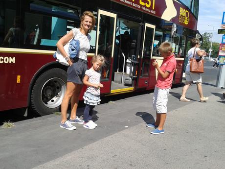 Sukna, stradivarius,m