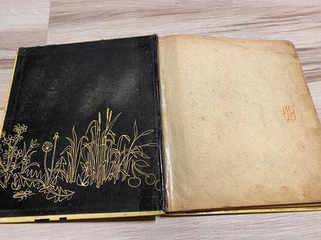 Retro stará kniha ostrov kapitána hašašara,