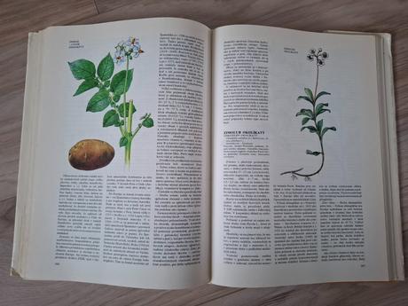 Atlas liečivých rastlín a lesných plodov, 