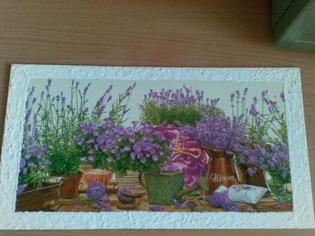 Obraz levandula, 