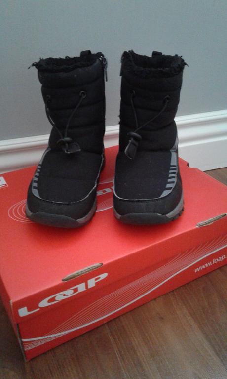 Snehule loap 31, loap,31