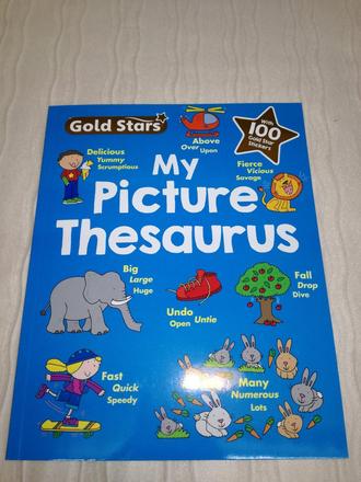 Gold stars my picture thesaurus nsu18,