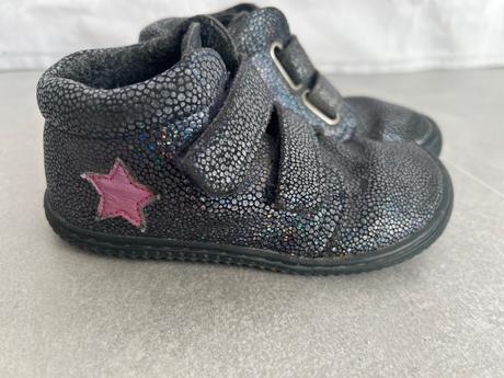 Filii chameleon, filii,25