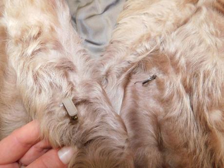 Damsky kvalitny kožuch z kozlika, 46