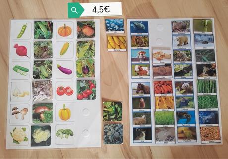 Vzdelávacie aktivity, 