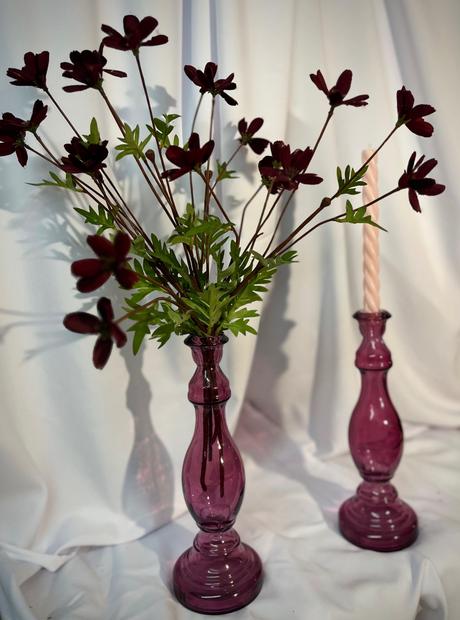 Purpurové svietniky, 