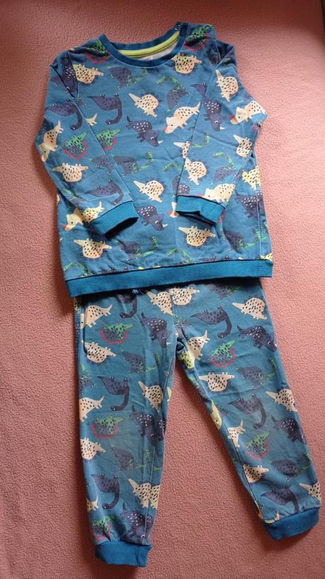 Suprava dinosaury, mikina a teplaky, pepco,98