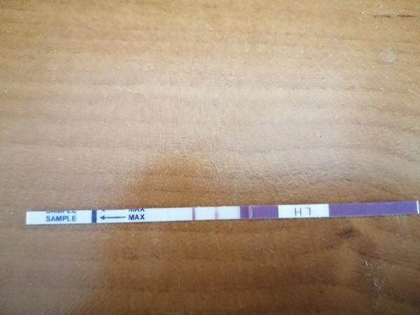 Je ovu test pozitívny?