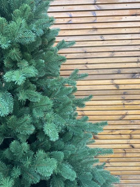 Vianočný stromček jedľa kráľovská full 3d,