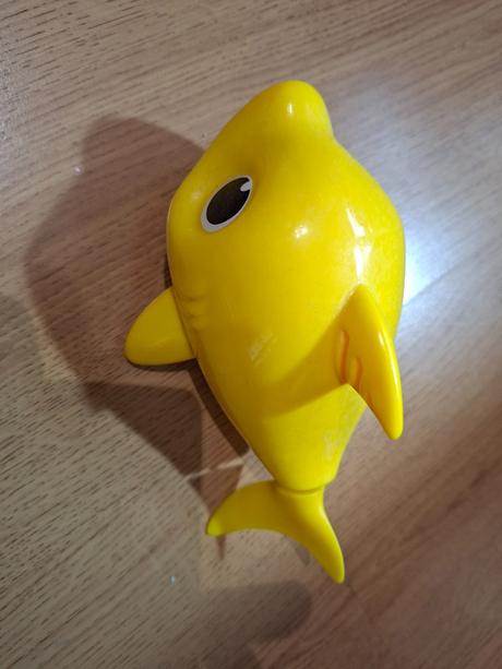 Baby shark, 