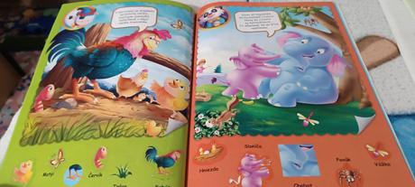 Máme radi zvieratá,