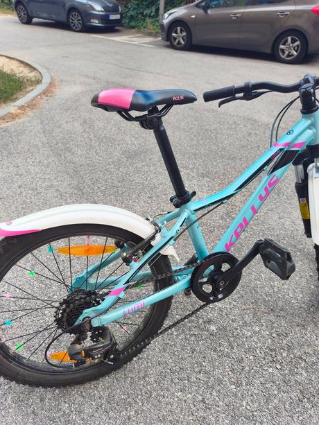 Bicykel kellys, kellys,20