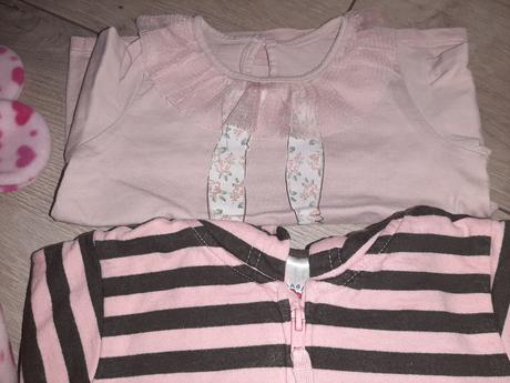 Lodger nosič, lodger