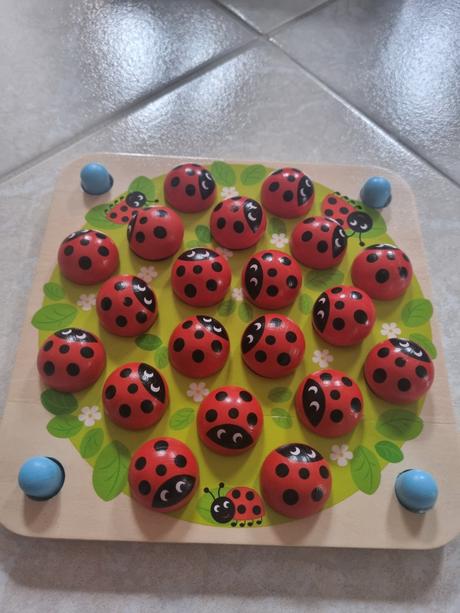 Drevene krasne memory, 