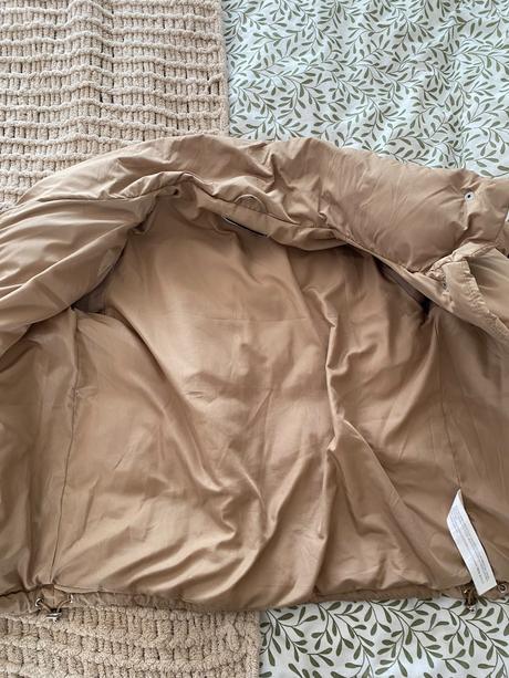 Bundicka stradivarius, stradivarius,s