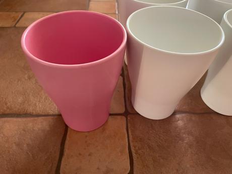 Crepniky na orchidee, 