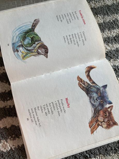 Mám básničku na jazýčku - ondrej nagaj (1991), 