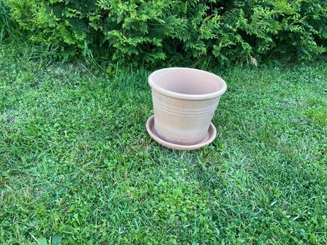 Terakotový kvetináč,