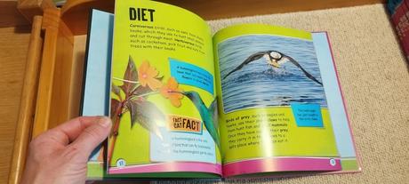 Izzi howel - factcat- birds,