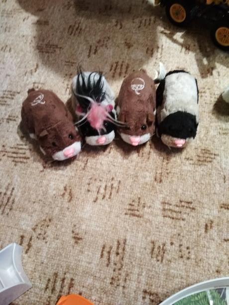 Škrečkovia s dráhou a doplnkami, 