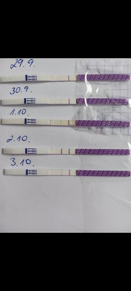 Ako interpretovať výsledky ovulačných testov?