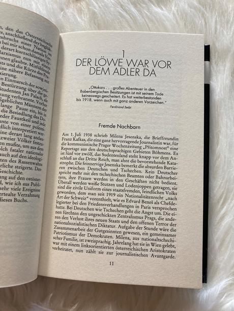 Adler und loowe osterreicher und tschechen (1990), 