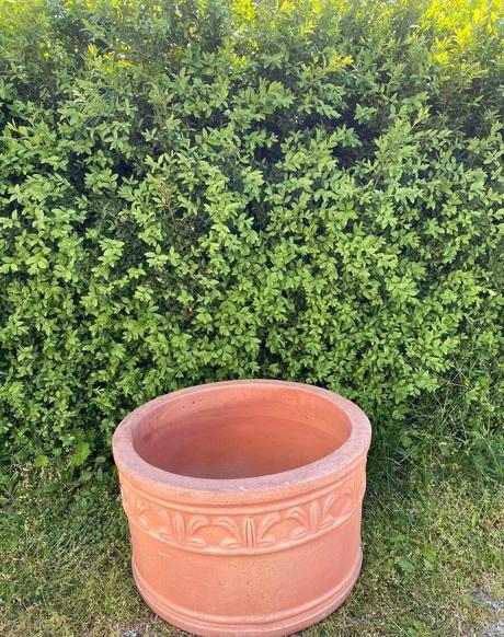 Terakotový kvetináč s ornamentom, 