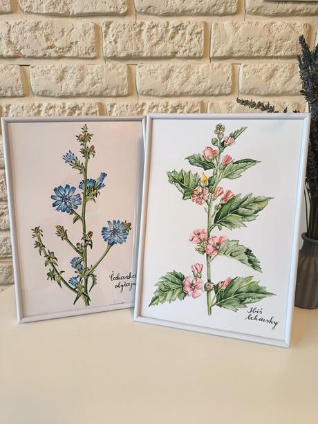 Akvarelové kvety obraz, 