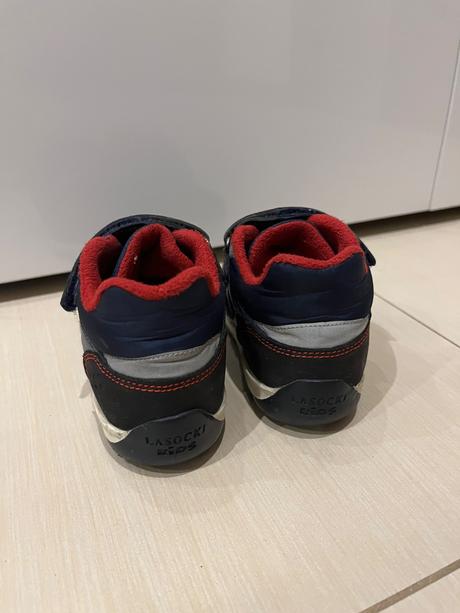 Poltopánky lasocki, lasocki,23