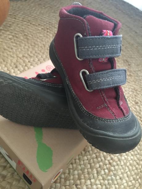 Topanky fillii, filii,23