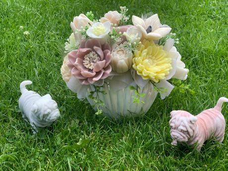 Mydlova kytica s mydlovim psikom, 