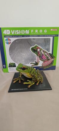4d vision frog anatomy model, 